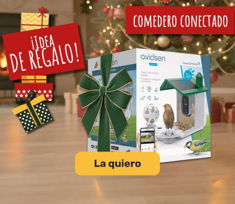 Idea de regalo: Comedero inteligente para pájaros