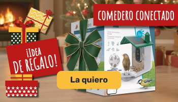 Idea de regalo: Comedero inteligente para pájaros
