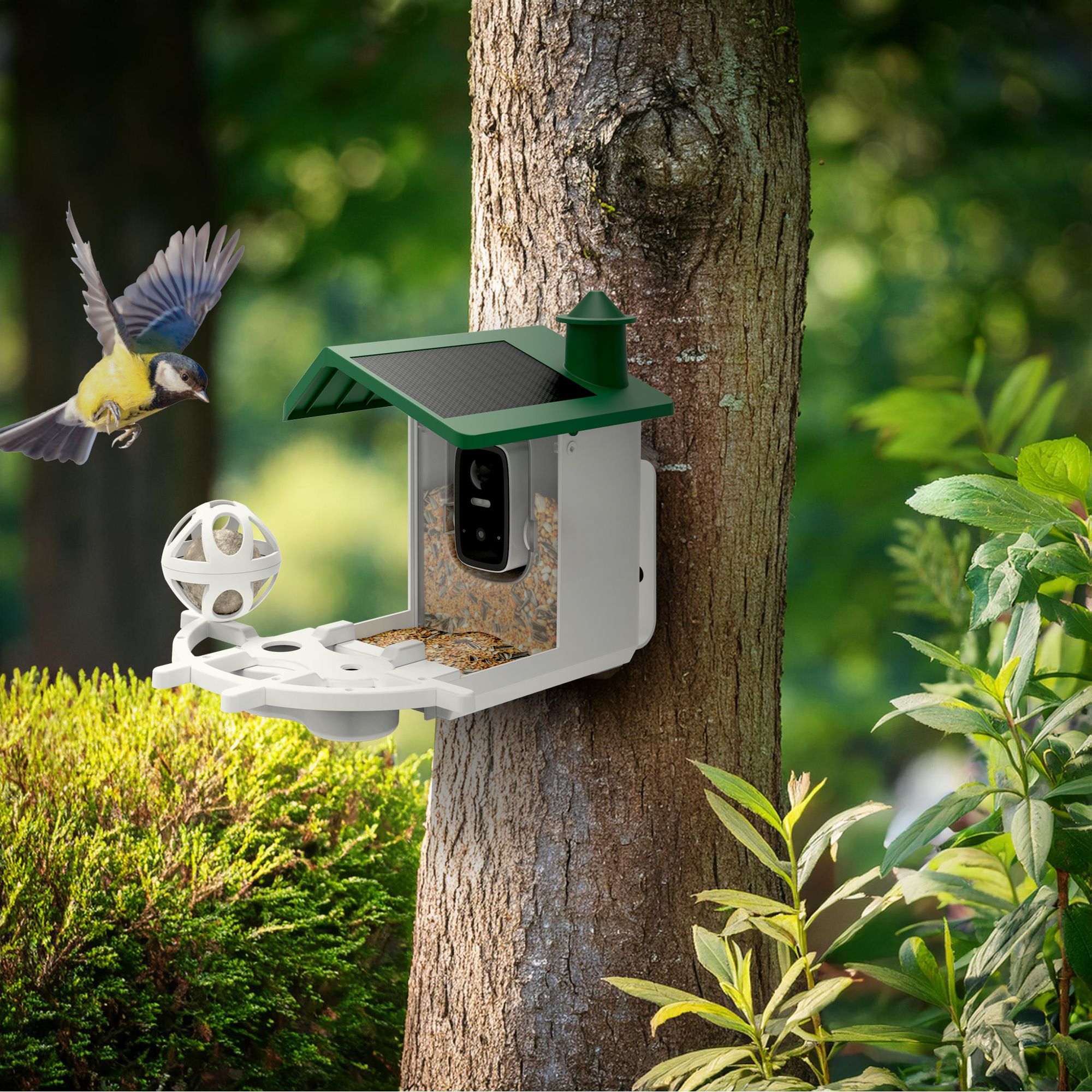 Conectar con la naturaleza